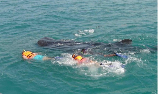 Visita guiada de snorkel en Holbox